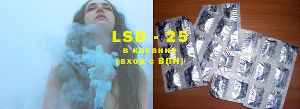 ECSTASY Бородино